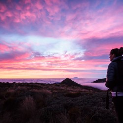 Taranaki